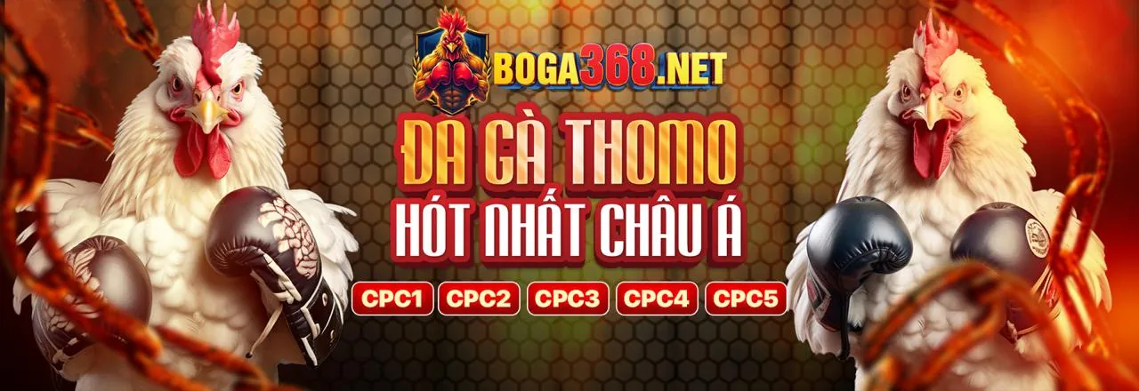 Chiến lược casino trực tuyến Ball88