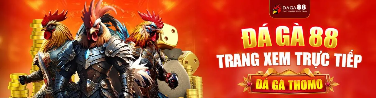 Blog Ball88 - Nơi Cập Nhật Kiến Thức Giải Trí Trực Tuyến